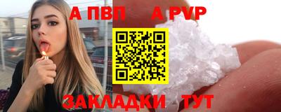 спиды Гудермес