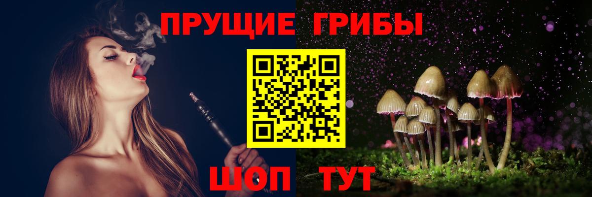 Псилоцибиновые грибы MAGIC MUSHROOMS  Вход с VPN  Губкинский  Галлюциногенные грибы прущие грибы 